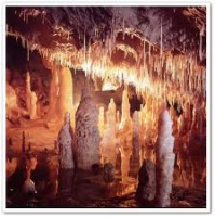 /album/galerie-foto/images-21-jpg1/